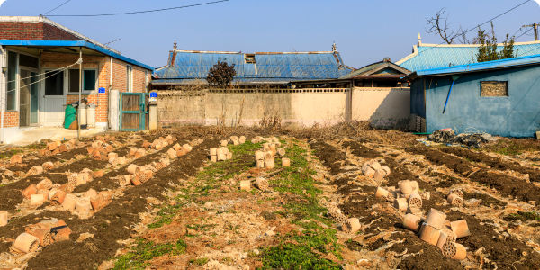 농촌 생활의 불편함, 54가지 규제 개선으로 뻥 뚫립니다!
