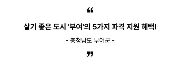 동네작가 이모저모