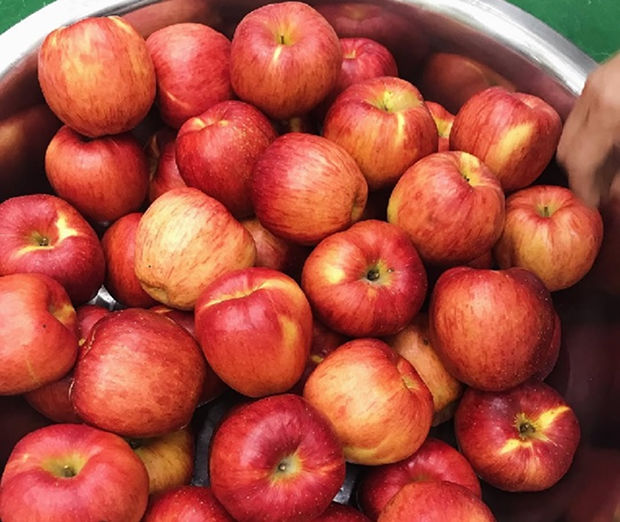 동네작가사진_07