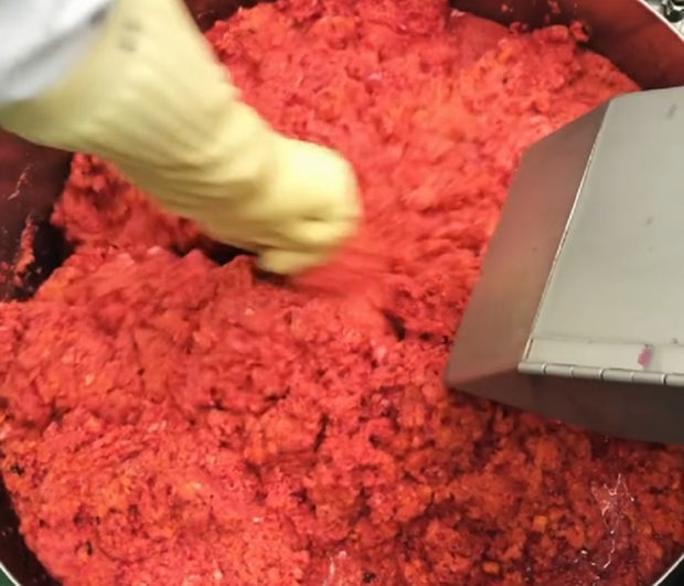 동네작가사진_11