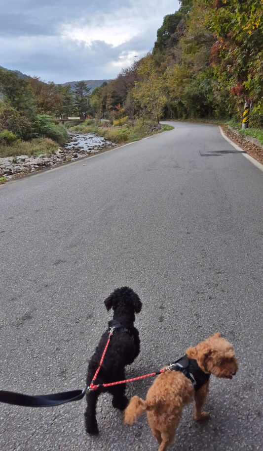 체험후기사진_01