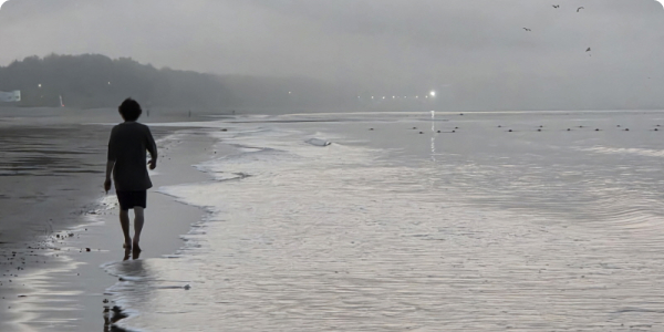 [대상 수상작] 그린대로와 함께 한 귀농귀촌 탐색기