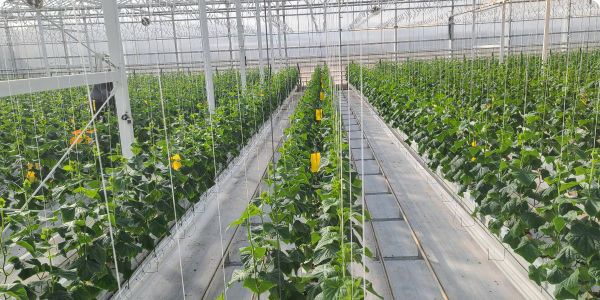 [최우수상] 2025년 그린대로 활용 우수사례 공모전 우수사례 소개