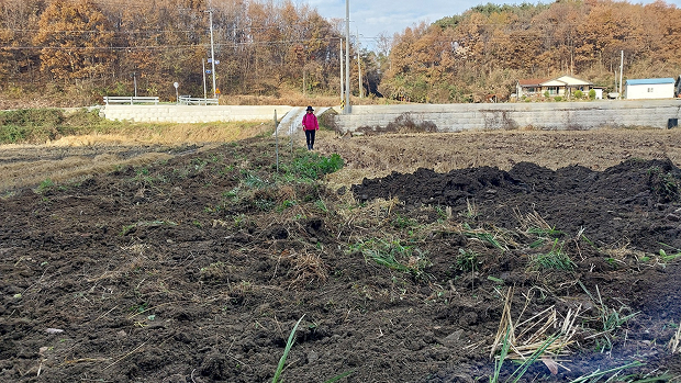 동네작가사진_07