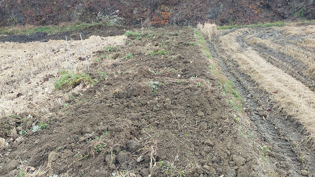 동네작가사진_08