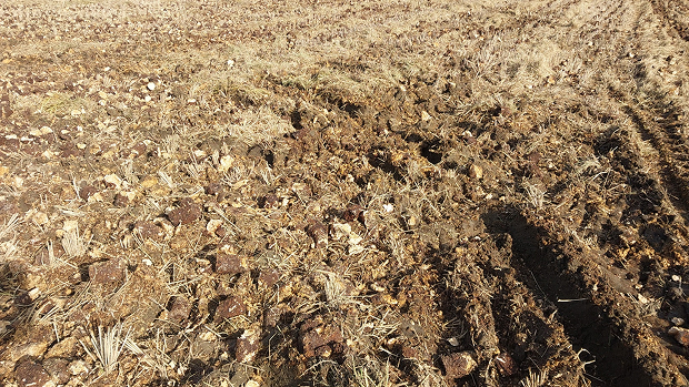 동네작가사진_10