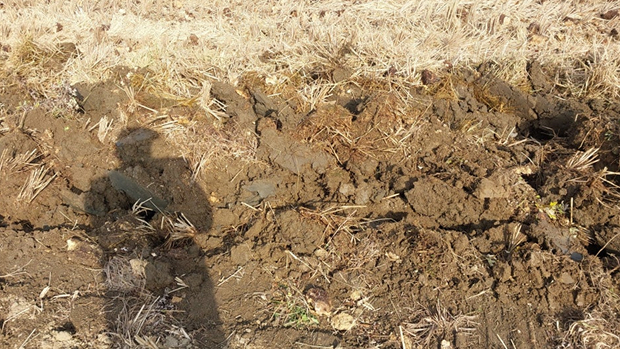 동네작가사진_15