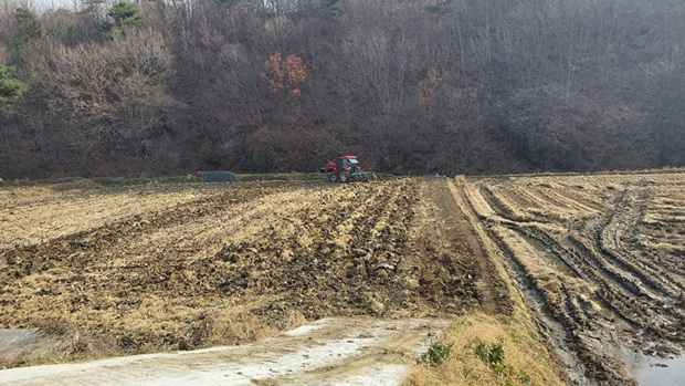 동네작가사진_16