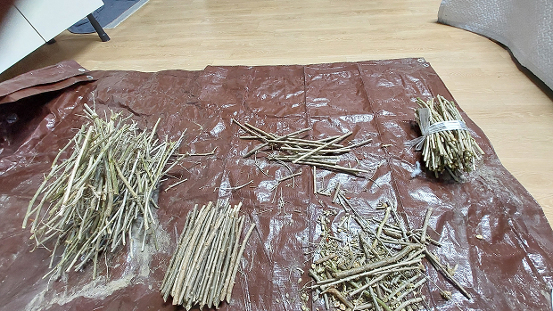 동네작가사진_23