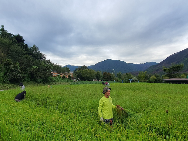 체험후기사진_04