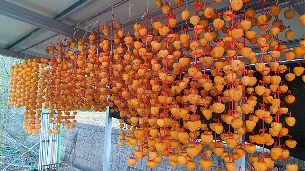 체험후기사진_05