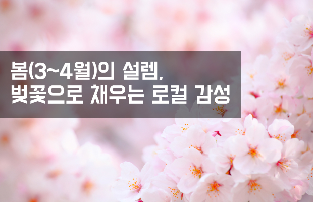 08페이지 배경