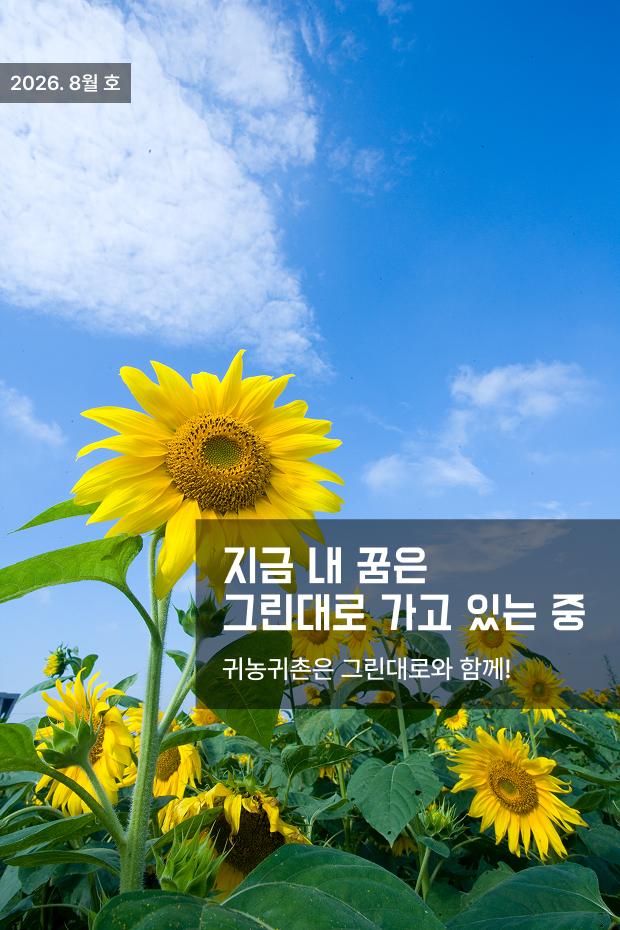 표지배경