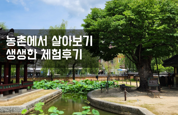 체험후기 페이지 이미지