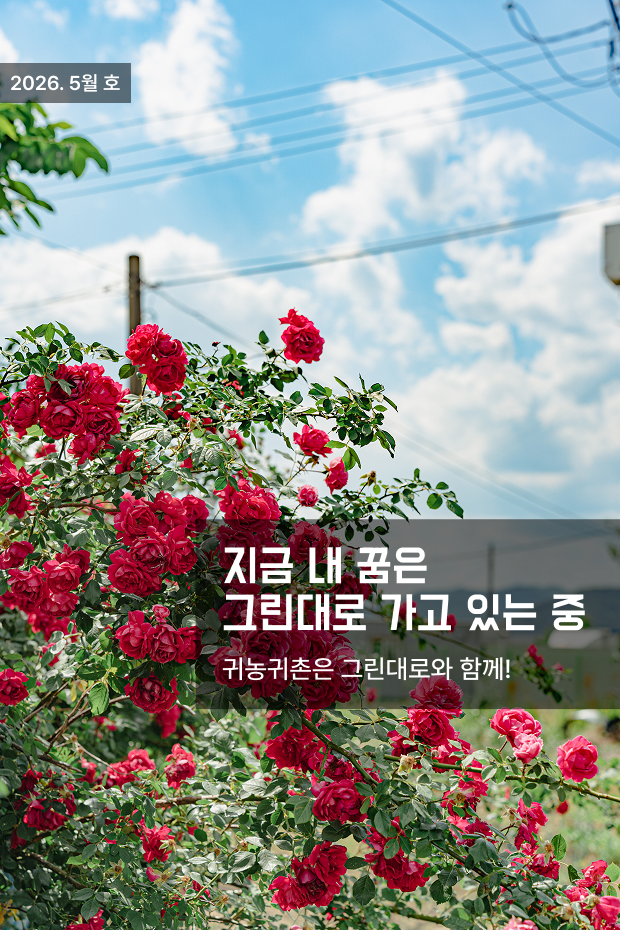 표지배경
