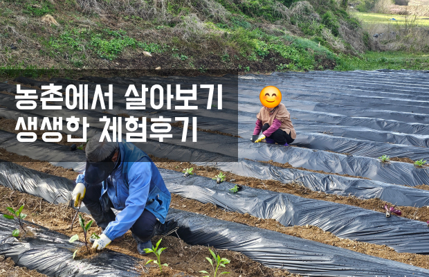 체험후기 페이지 이미지